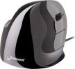 886171 Evoluent VerticalMouse 